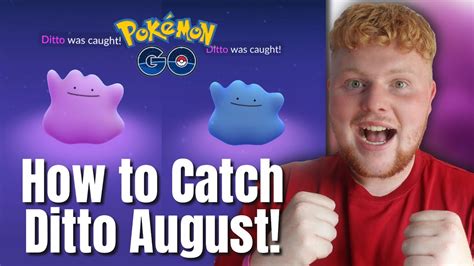 ditto fangen pokemon go|All Ditto Disguises In Pokémon GO (December 2024)